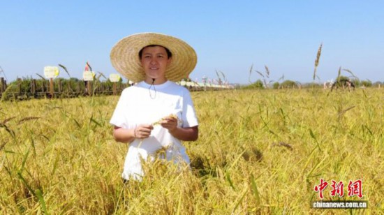 全國(guó)人大代表、寧安市渤海鎮(zhèn)上官地村黨支部書記、村委會(huì)主任陳雨佳在稻田中。 受訪者供圖